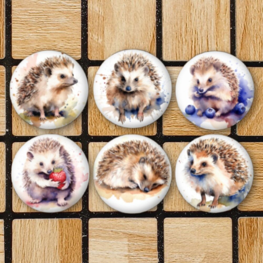 Watercolor Hedgehog Fridge Magnets Set Of 6 Metal Magnets Home Office Kitchen